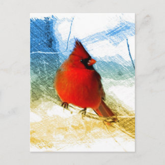 Primitive western country christmas red cardinal holiday postcard
