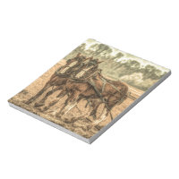 Primitive Western country farm horses