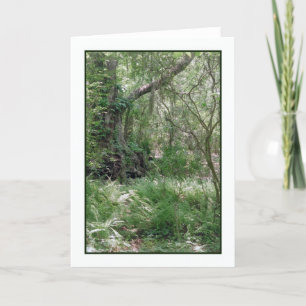 Primordial Landscape Greeting Card