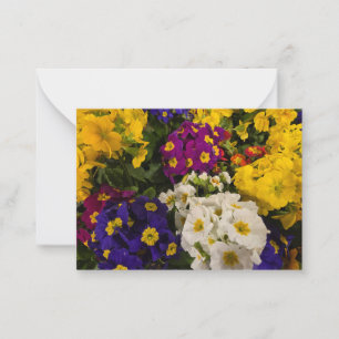 Primrose Card