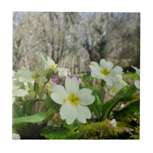 Primrose Ceramic Tile