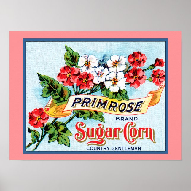 Primrose Flowers Vintage Crate Label Art Poster (Front)