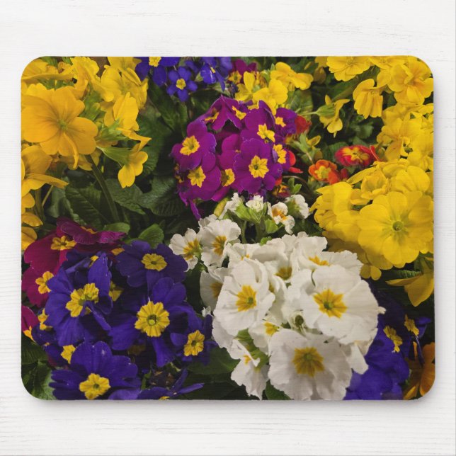 Primrose Mouse Pad (Front)