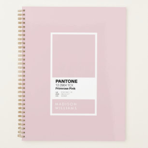 Primrose Pink Minimalist Colour Palette Swatch  Planner