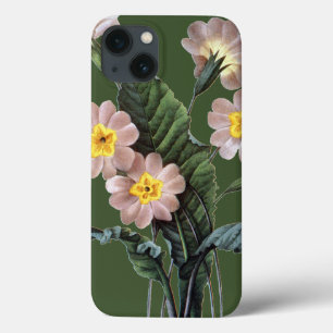 Primrose (Primula Aucalis) iPhone 13 Case
