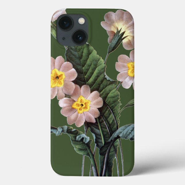 Primrose (Primula Aucalis) Case-Mate iPhone Case (Back)