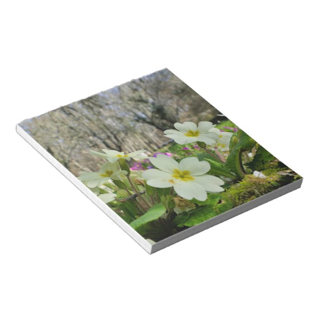 Primrose (Primula vulgaris) Notepad (Angled)