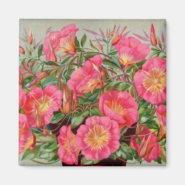 Primrose Seed Packets Magnet (Front)