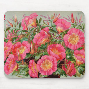 Primrose Seed Packets Mousepad