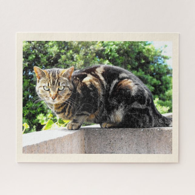Primrose, the tabby cat jigsaw puzzle (Horizontal)