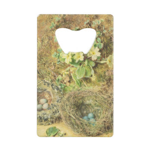 Primroses and Birds' Nests