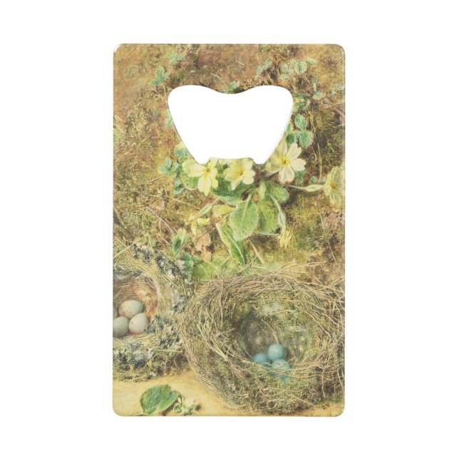 Primroses and Birds' Nests (Front)