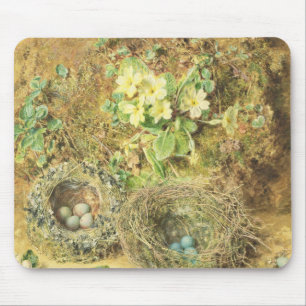Primroses and Birds' Nests Mouse Pad