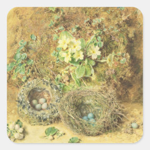 Primroses and Birds' Nests Square Sticker