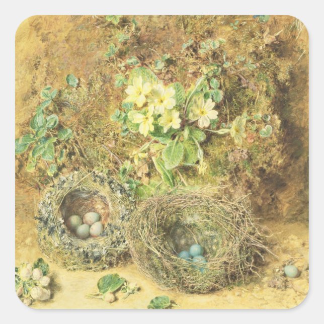 Primroses and Birds' Nests Square Sticker (Front)