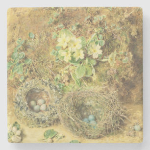 Primroses and Birds' Nests Stone Coaster