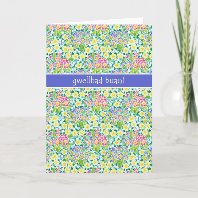 Primroses Get Well Card, Welsh Greeting Card (Front)