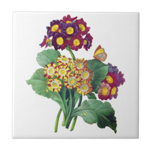 Primula Auricula - Cowslip- Pierre Joseph Redoute Tile