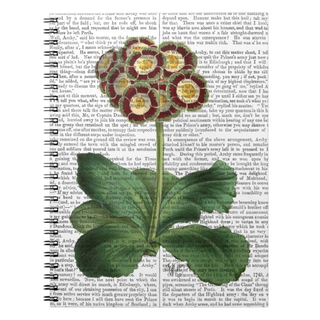Primula Auricula Red Spiral Notebook (Front)