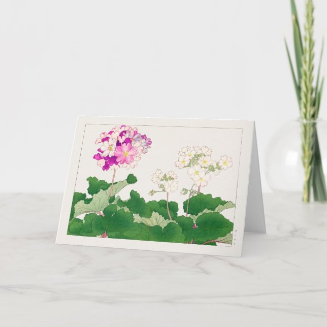 Primula by Tanigami Konan Card (Front)