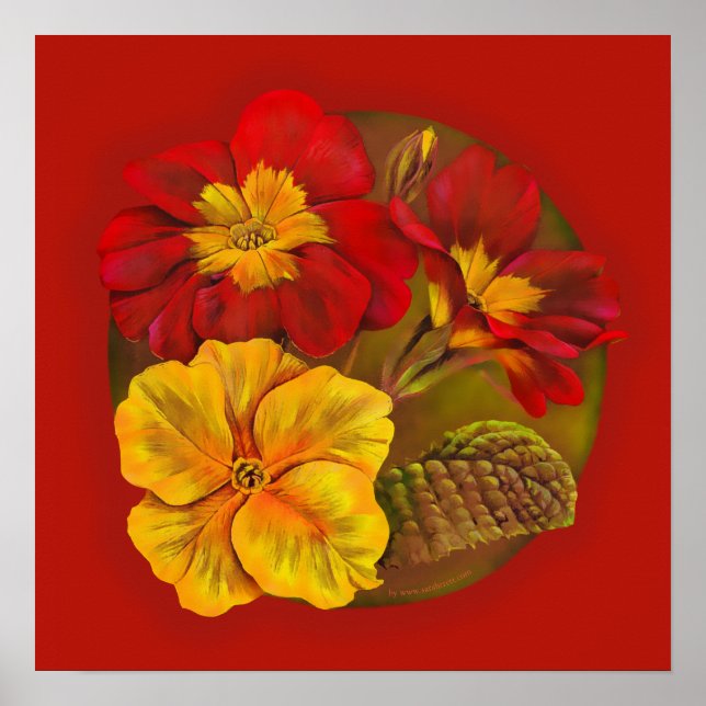 Primula red yellow fine art by Sarah Trett Poster (Front)