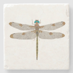 Prince Baskettail Dragonfly Coaster