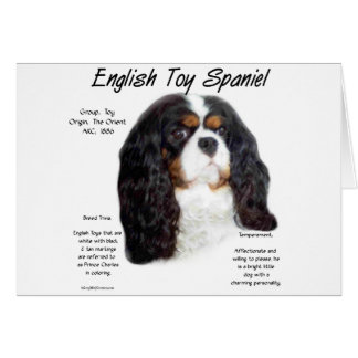 Prince Charles English Toy Spaniel History