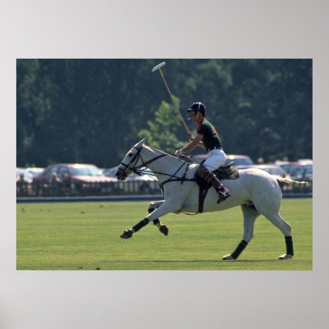 Prince Charles Playing Polo at Windsor Poster (Front)