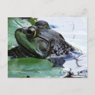 "Prince Charming" Postcard