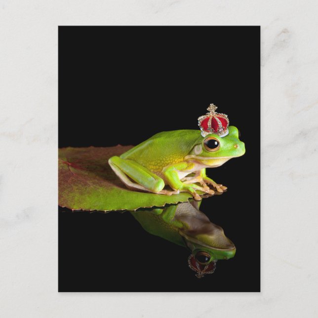 Prince frog postcard (Front)