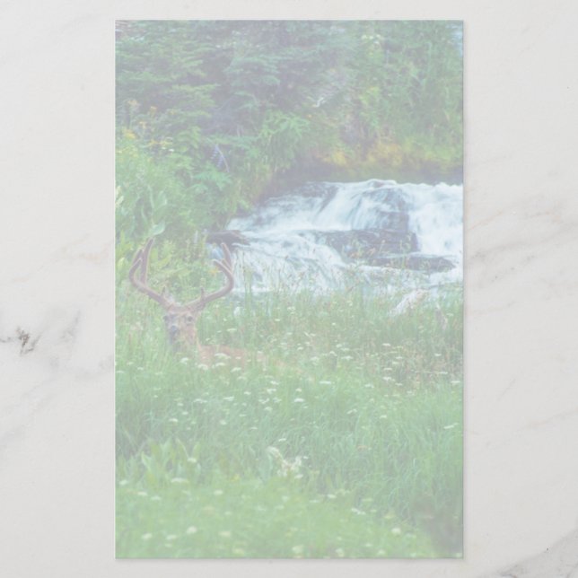 Prince of the Forest Stationery (Front)