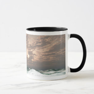 Prince William Ship Cup
