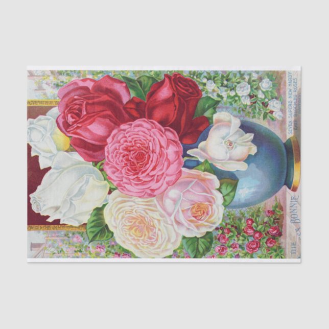 Princess Bonnie and Hardy Roses Antique Print Tissue Paper (Front)