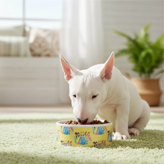 Princess Bowl (Creator Uploaded)