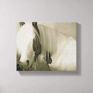 Princess Canvas Print