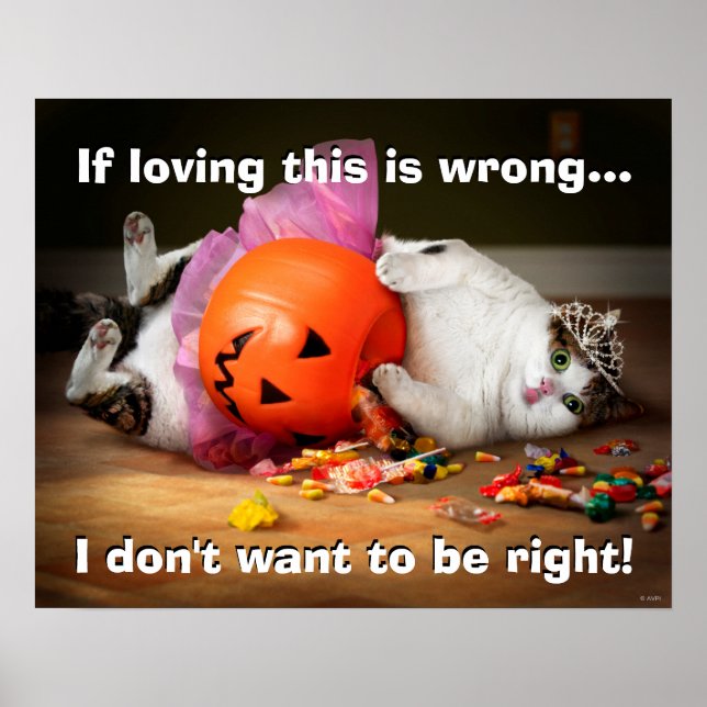 Princess Cat With Candy Bucket Poster (Front)