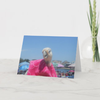 Princess Ella Beach note card