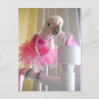 Princess Ella Postcard