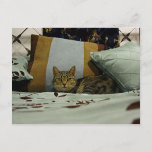 Princess Indigo Postcard