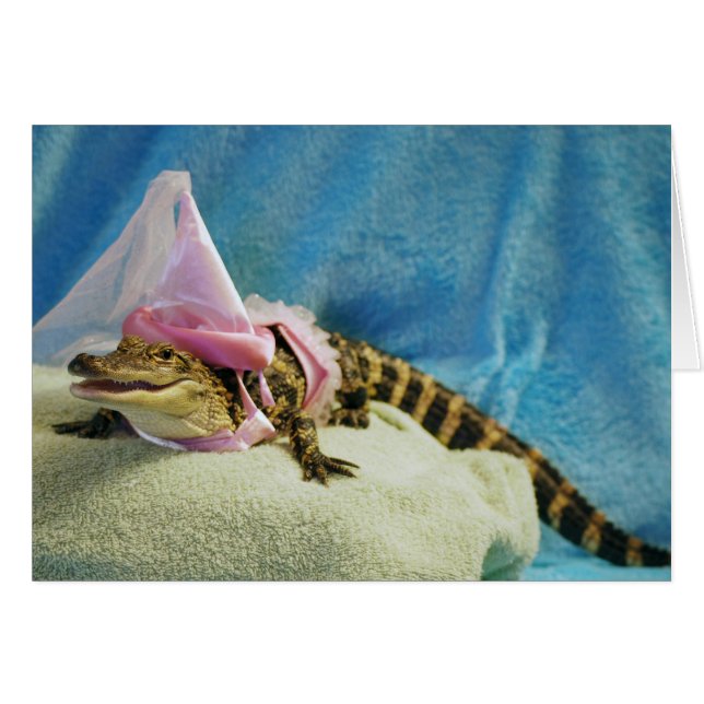 Princess Penny Cards (Front Horizontal)