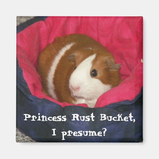 Princess Rust Bucket, I presume? Magnet (Front)