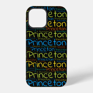 Princeton iPhone 12 Pro Case