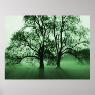 PRINT - 2 Big Trees Green