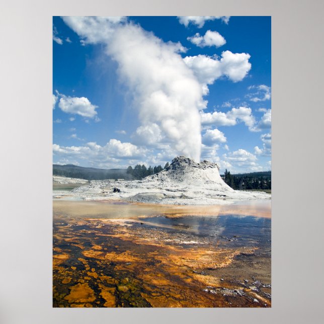 Print - Castle Geyser, Yellowstone National Park, (Front)