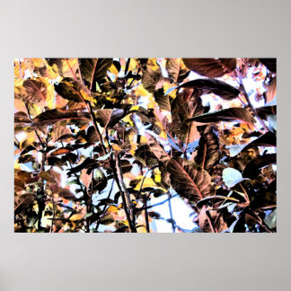 Print - Dark & BrIght Fall Foliage