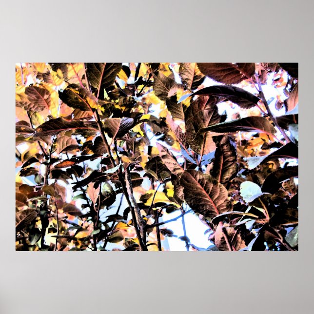 Print - Dark & BrIght Fall Foliage (Front)