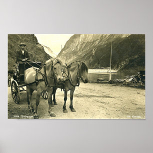 Print - Gudvangen, Norway