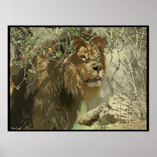 Print - King of the Jungle
