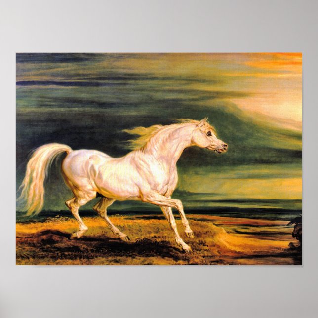 Print: Napoleon's Marengo Poster (Front)