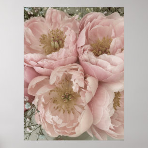 PRINT   Peonies I - 24in x 32in